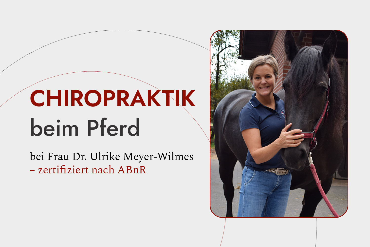 Chiropraktik beim Pferd – bei Frau Dr. Ulrike Meyer-Wilmes, zertifiziert nach ABnR
