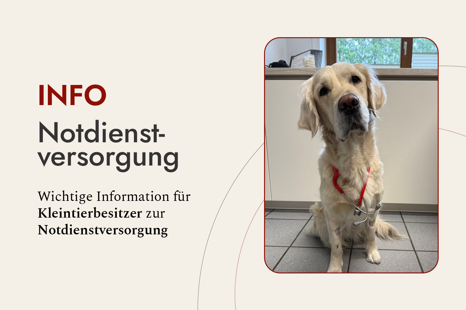 Information zur Notdienstversorgung
